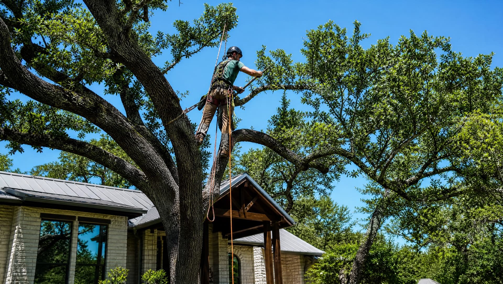 Tree Trimming & Pruning in Waco, TX