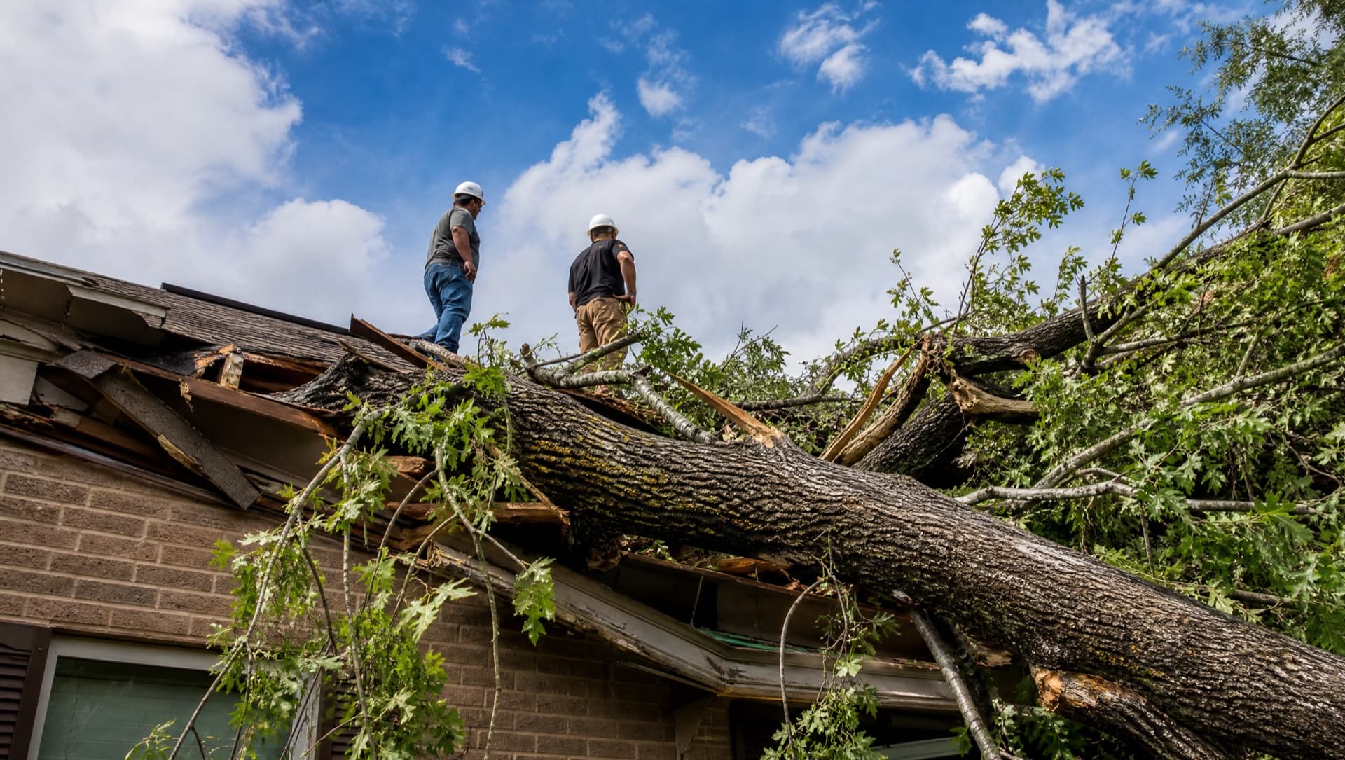 Storm Damage & Emergency Cleanup in Bryan, TX by Raymundo Tree Service