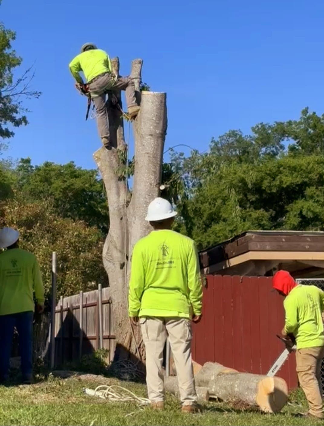 Raymundo Tree Service owner and crew in Waco, TX